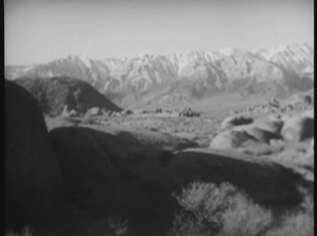 Thumbnail image for Blue Steel