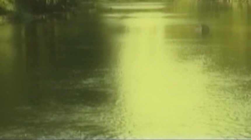 Thumbnail image for Darkness Aftermath (Allen Etter)