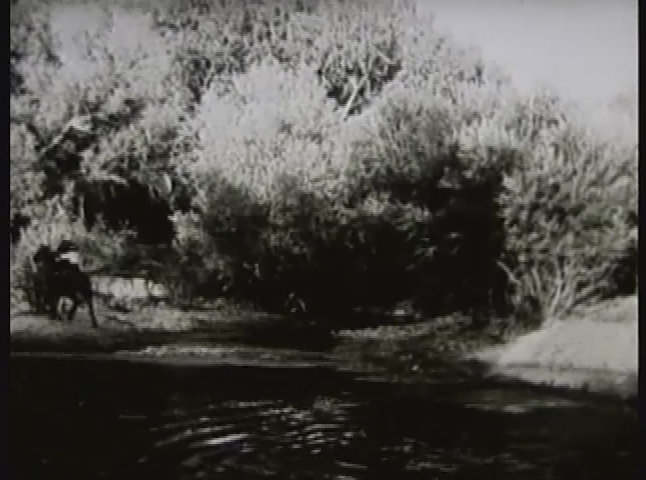 Thumbnail image for Neath The Arizona Skies