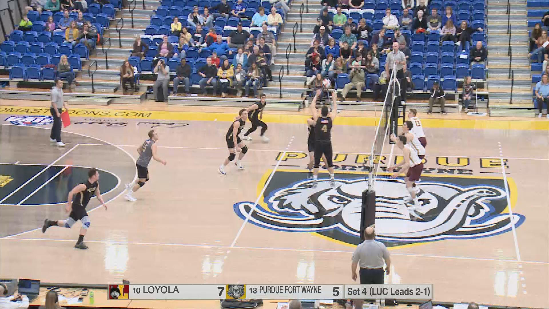 Thumbnail image for Purdue Fort Wayne Men's Volleyball vs. Loyola-Chicago (3/23/19)