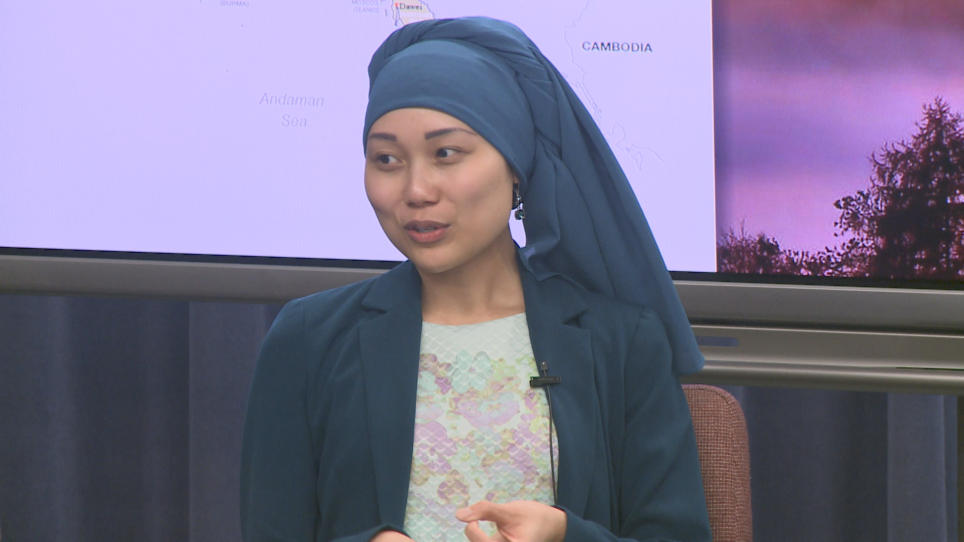 CTV Faculty Speakers: A Southeast Asian Language in the US