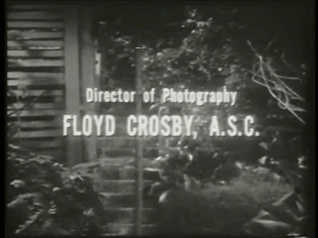 Thumbnail image for The Screaming Skull