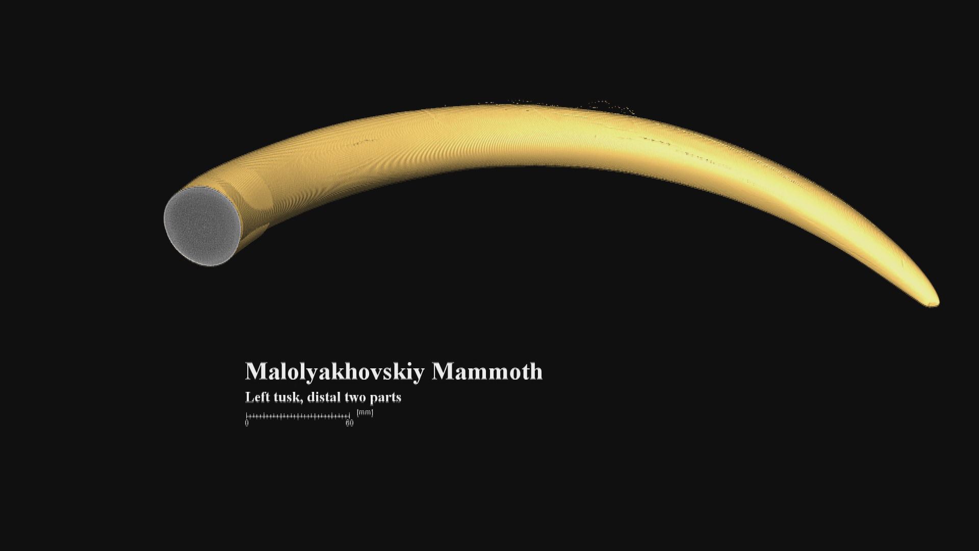 Thumbnail image for Mastodons and Mammoths of the Great Lakes Region: Tales Tusks Tell - Daniel Fisher