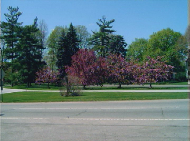 Thumbnail image for West Central: An Attractive Community