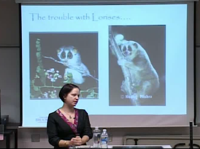 Thumbnail image for Uncovering the Behavioral, Ecological, and Phylogenetic Diversity of Asia's Slow Lorises - Anna Neckaris